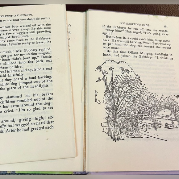 Bobbsey Twins Hardcover Books Lot of 3 1950-60 #4-15-48 Bicycle Trip County Fair - Picture 16 of 16